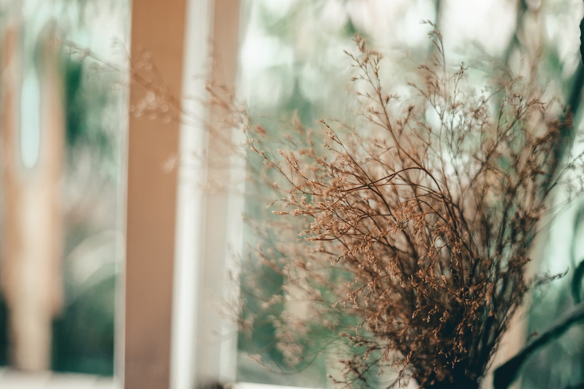 Прислівники порядку та послідовності в англійській мові | BUKI School