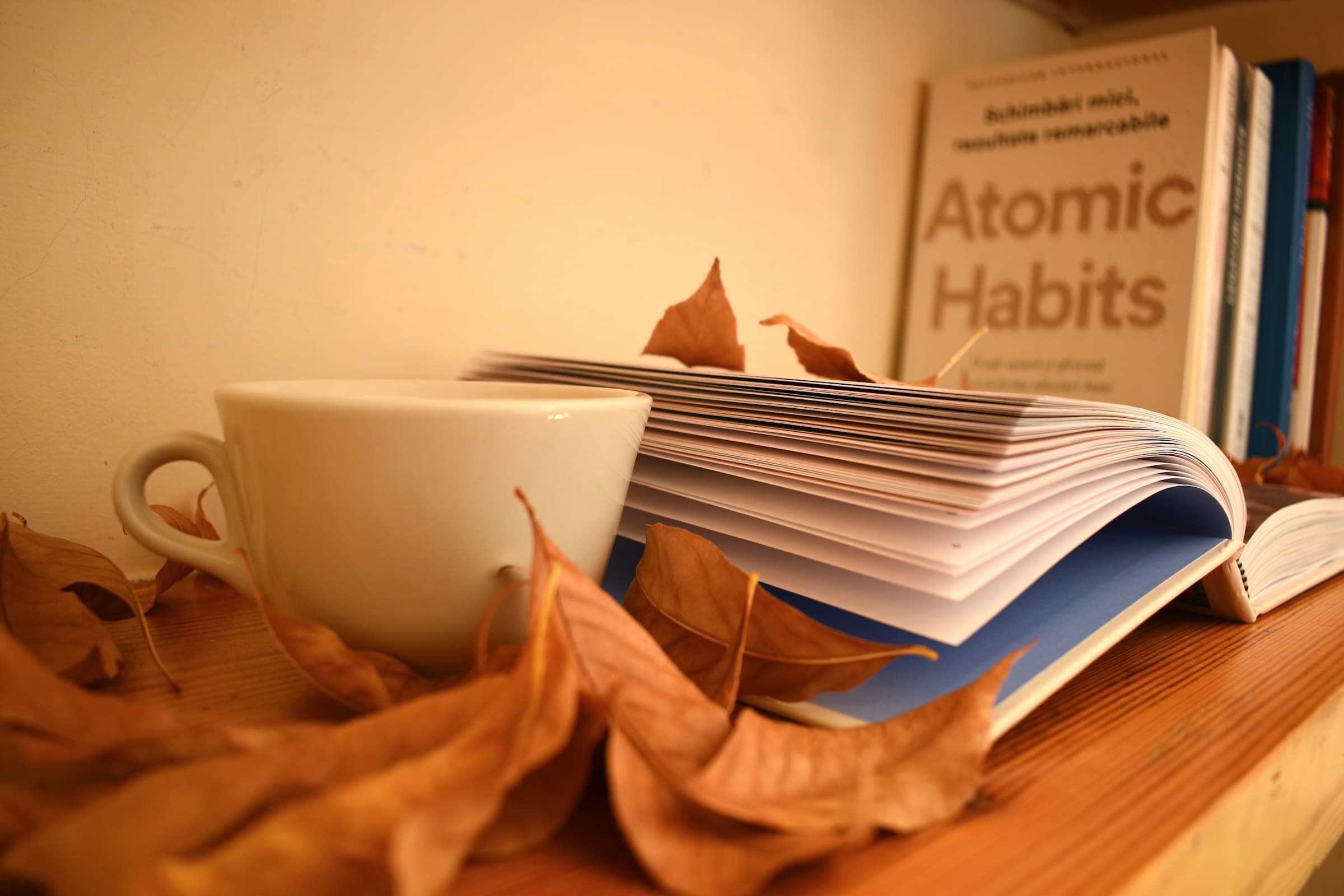 Як робити синтаксичний розбір речення? | BUKI School